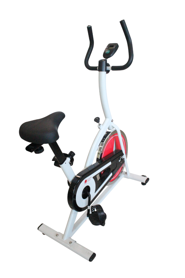 Xe đạp tập thể thao Buheung Korea MK-219 (Tặng bộ dao 5 món/USB 8G) 4