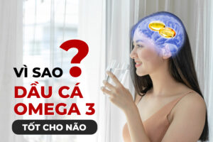 Vì Sao Dầu Cá Omega 3 Tốt Cho Não? Nguồn Gốc, Liều Dùng 3
