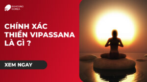 Minh họa thiền vipassana là gì