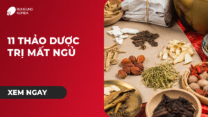 11 Thảo Dược Trị Mất Ngủ Nổi Tiếng Trong Dân Gian 19