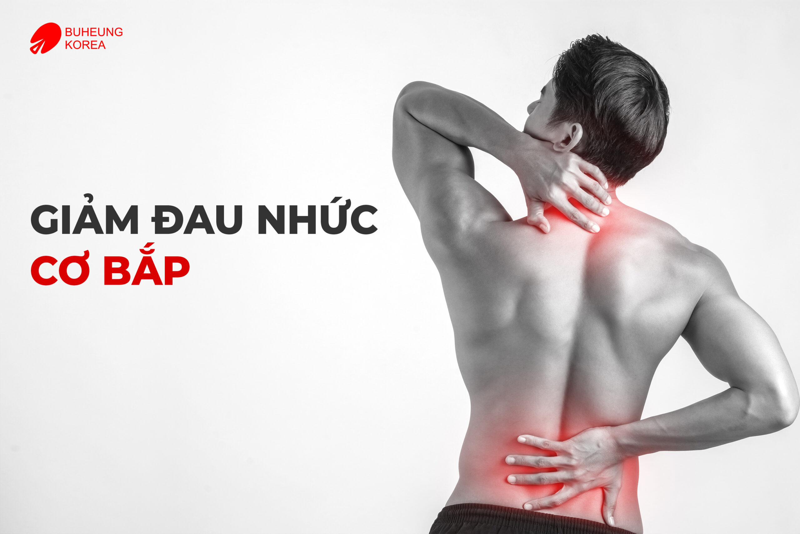 Giảm Đau Lưng Hiệu Quả Với Máy Massage Cầm Tay  2