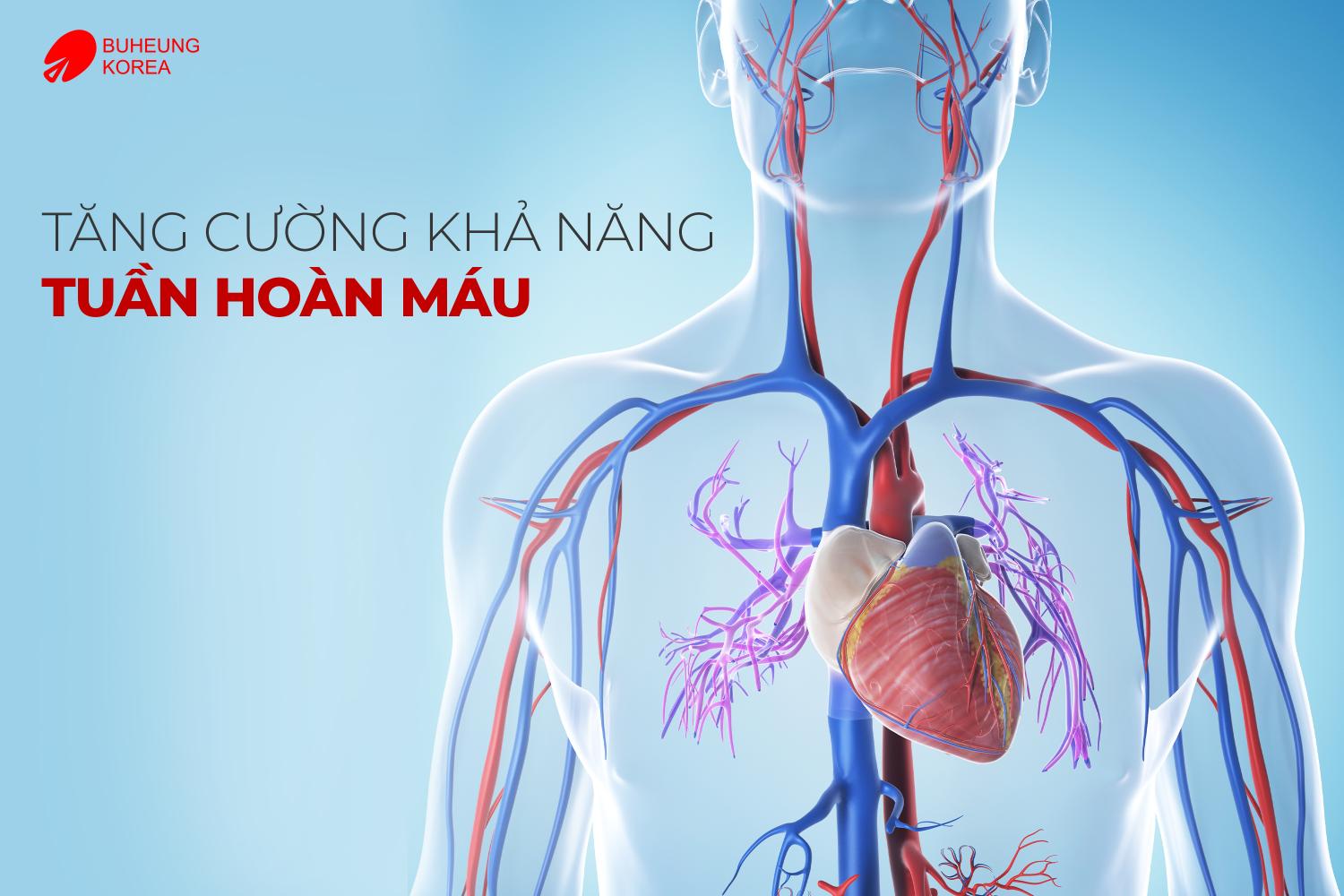 5 Nghiên Cứu Thực Tế Cho Thấy Lợi Ích Thật Sự Của Máy Massage Cầm Tay 4