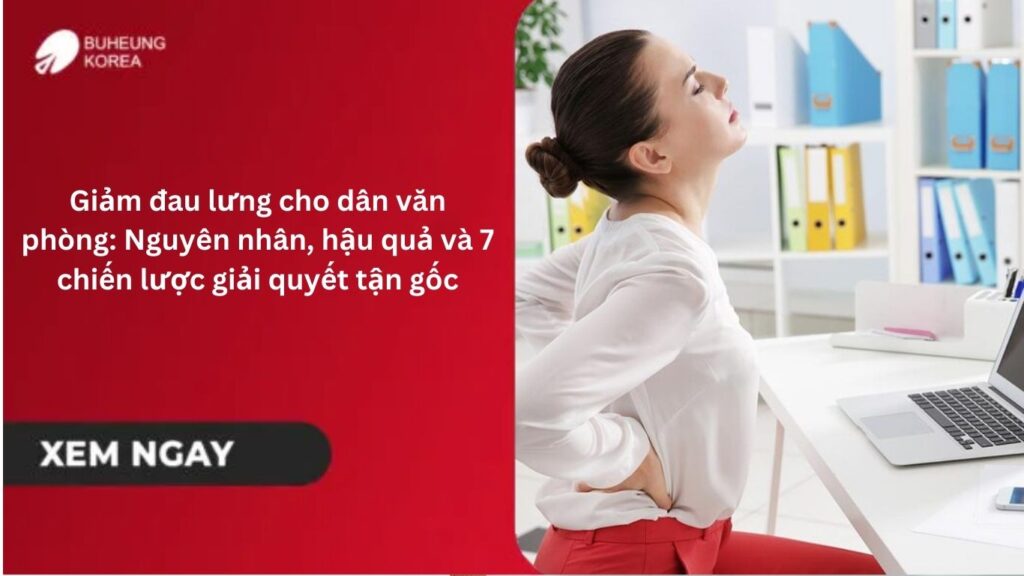 Giảm đau lưng cho dân văn phòng: Nguyên nhân, hậu quả và 7 chiến lược giải quyết tận gốc 1 Giảm đau lưng cho dân văn phòng: Nguyên nhân, hậu quả và 7 chiến lược giải quyết tận gốc 1