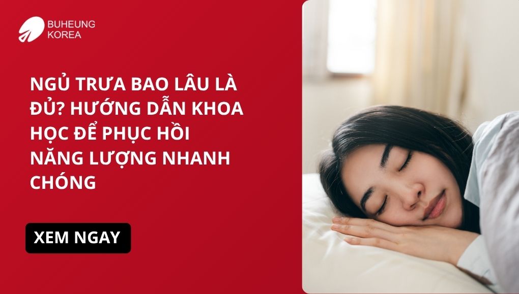 Ngủ Trưa Bao Lâu Là Đủ, Hướng Dẫn Khoa Học Để Phục Hồi Năng Lượng Nhanh Chóng 1 ngủ trưa bao lâu là đủ
