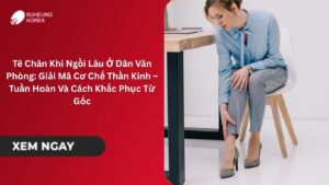 Tê Chân Khi Ngồi Lâu Ở Dân Văn Phòng: Giải Mã Cơ Chế Thần Kinh – Tuần Hoàn Và Cách Khắc Phục Từ Gốc