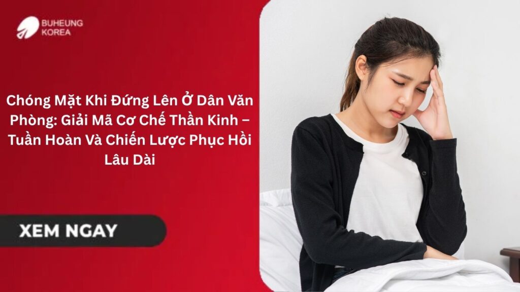 Chóng Mặt Khi Đứng Lên Ở Dân Văn Phòng: Giải Mã Cơ Chế Thần Kinh – Tuần Hoàn Và Chiến Lược Phục Hồi Lâu Dài