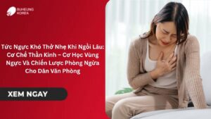 Tức Ngực Khó Thở Nhẹ Khi Ngồi Lâu: Cơ Chế Thần Kinh – Cơ Học Vùng Ngực Và Chiến Lược Phòng Ngừa Cho Dân Văn Phòng 14