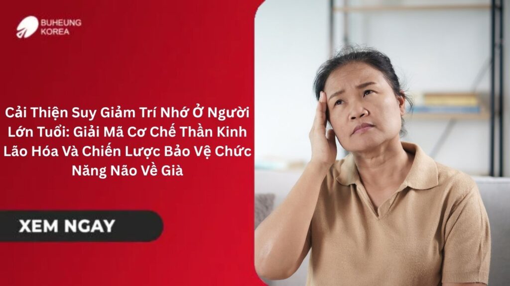 Cải Thiện Suy Giảm Trí Nhớ Ở Người Lớn Tuổi: Giải Mã Cơ Chế Thần Kinh Lão Hóa Và Chiến Lược Bảo Vệ Chức Năng Não Về Già