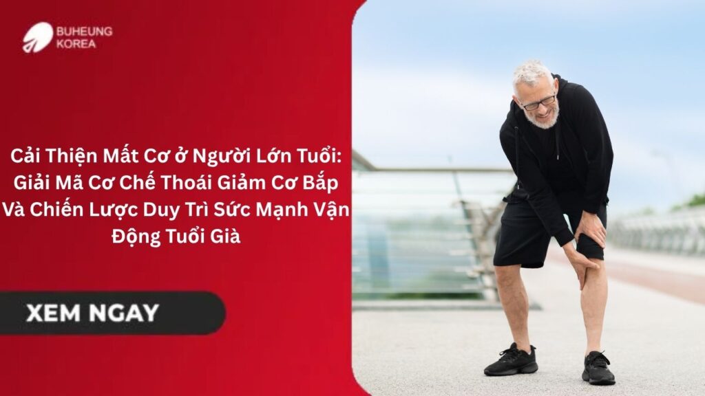 Cải Thiện Mất Cơ ở Người Lớn Tuổi: Giải Mã Cơ Chế Thoái Giảm Cơ Bắp Và Chiến Lược Duy Trì Sức Mạnh Vận Động Tuổi Già