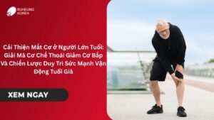 Cải Thiện Mất Cơ ở Người Lớn Tuổi: Giải Mã Cơ Chế Thoái Giảm Cơ Bắp Và Chiến Lược Duy Trì Sức Mạnh Vận Động Tuổi Già
