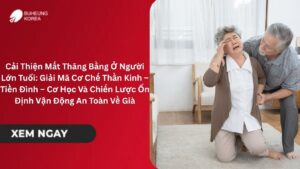 Cải Thiện Mất Thăng Bằng Ở Người Lớn Tuổi: Giải Mã Cơ Chế Thần Kinh – Tiền Đình – Cơ Học Và Chiến Lược Ổn Định Vận Động An Toàn Về Già