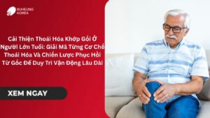 Cải Thiện Thoái Hóa Khớp Gối Ở Người Lớn Tuổi: Giải Mã Từng Cơ Chế Thoái Hóa Và Chiến Lược Phục Hồi Từ Gốc Để Duy Trì Vận Động Lâu Dài