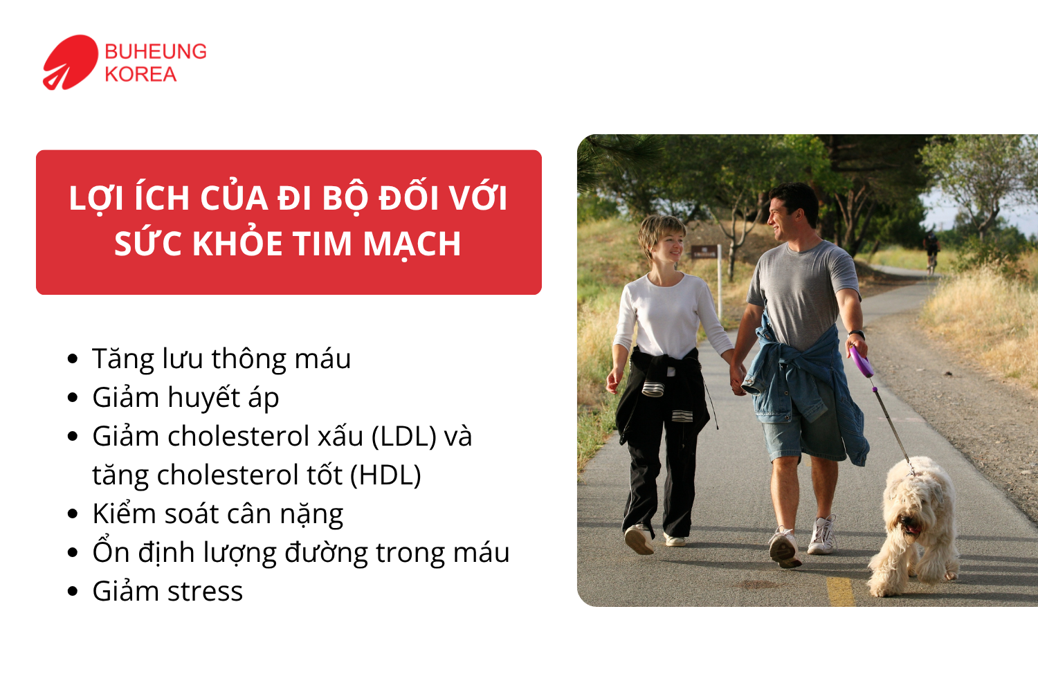 Đi Bộ Bao Nhiêu Phút Mỗi Ngày Là Tốt Cho Tim Mạch? 1