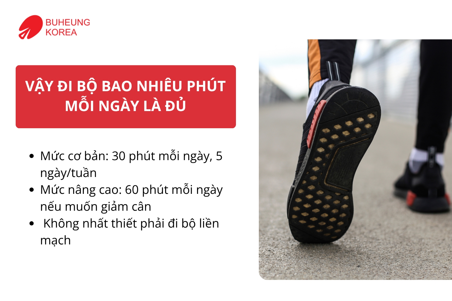 Đi Bộ Bao Nhiêu Phút Mỗi Ngày Là Tốt Cho Tim Mạch? 2
