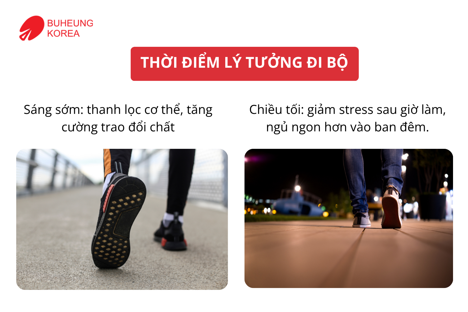 Đi Bộ Bao Nhiêu Phút Mỗi Ngày Là Tốt Cho Tim Mạch? 3
