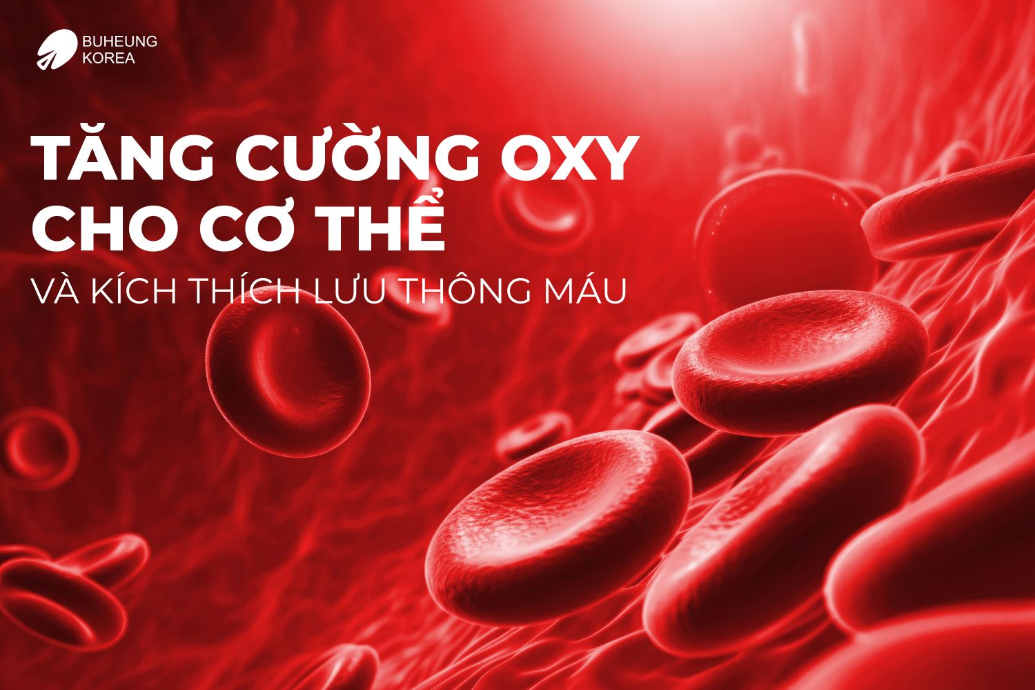 8 Lợi Ích Của Máy Massage Đầu Mini MK-341 2