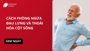 phòng ngừa đau lưng và thoái hóa cột sống