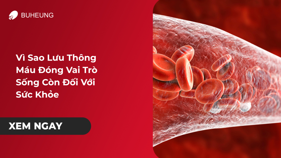 Vì Sao Lưu Thông Máu Lại Đóng Vai Trò Sống Còn Với Sức Khỏe? 1
