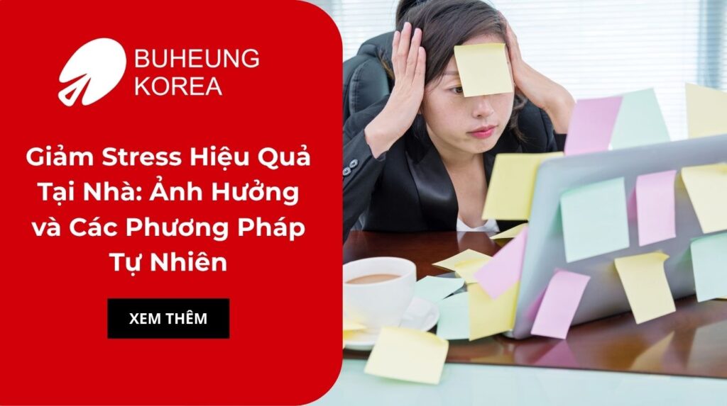 Giảm Stress Hiệu Quả Tại Nhà: Ảnh Hưởng và Các Phương Pháp Tự Nhiên 12 Giảm Stress Hiệu Quả Tại Nhà: Ảnh Hưởng và Các Phương Pháp Tự Nhiên