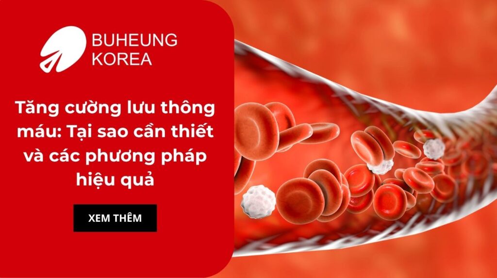 Tăng cường lưu thông máu: Tại sao cần thiết và các phương pháp hiệu quả 10 Tăng cường lưu thông máu: Tại sao cần thiết và các phương pháp hiệu quả