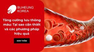 Tăng cường lưu thông máu: Tại sao cần thiết và các phương pháp hiệu quả