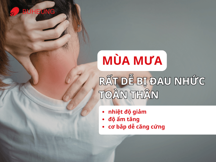 Mùa Mưa Và Những Cơn Đau Nhức Không Báo Trước 1